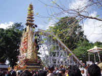 �v���{��