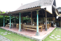 �W�����K�[���E�E����