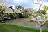 �W�����K�[���E�E����