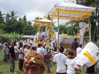 �������V