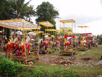 �������V