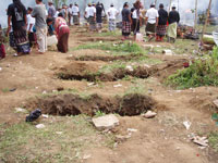 �������V