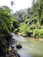 �v�N���T����