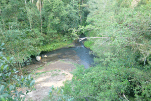 �v�N���T����