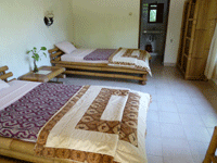 ���J�E���C