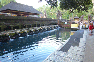 �e�B���^�E�E���v��