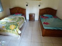 �����A�e�B�E�n�E�X