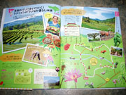 �V�h�D������