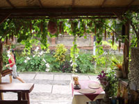 �o���E���K