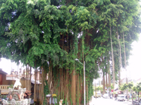 �r���M�����