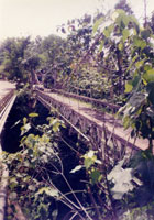 �`�����v�A���݂̒苴