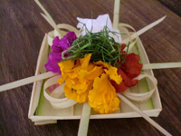 �`���i��