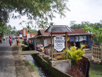 �`���L���E�e���X