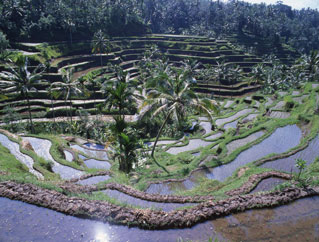 �`���L���E�e���X