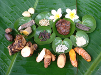 �_�v�[���E�o��