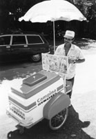 �A�C�X�N���[��