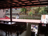 �C�Q�����`��