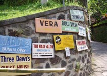 �r�X�}�ʂ�