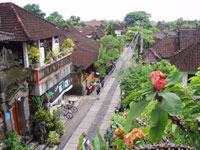 �J�W�F���ʂ�