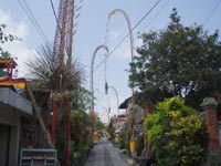 �J�W�F���ʂ�