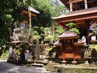 �J�W�F���ʂ�