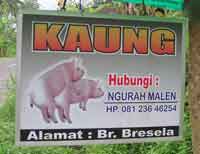 ��z������