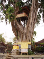 �N���N��