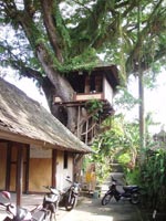 �N���N����