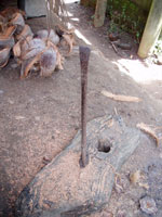 �����M�X