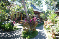 �I�J�E�z�[���X�e�C