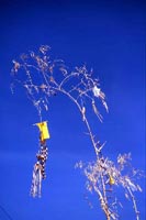 �y���W���[��