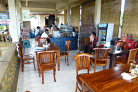 �T���E���W�F�L