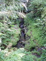 �X�o����