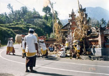 �V�x�^����