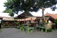 �x�x�O����