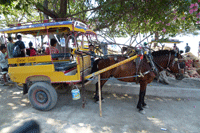 �g�������K��