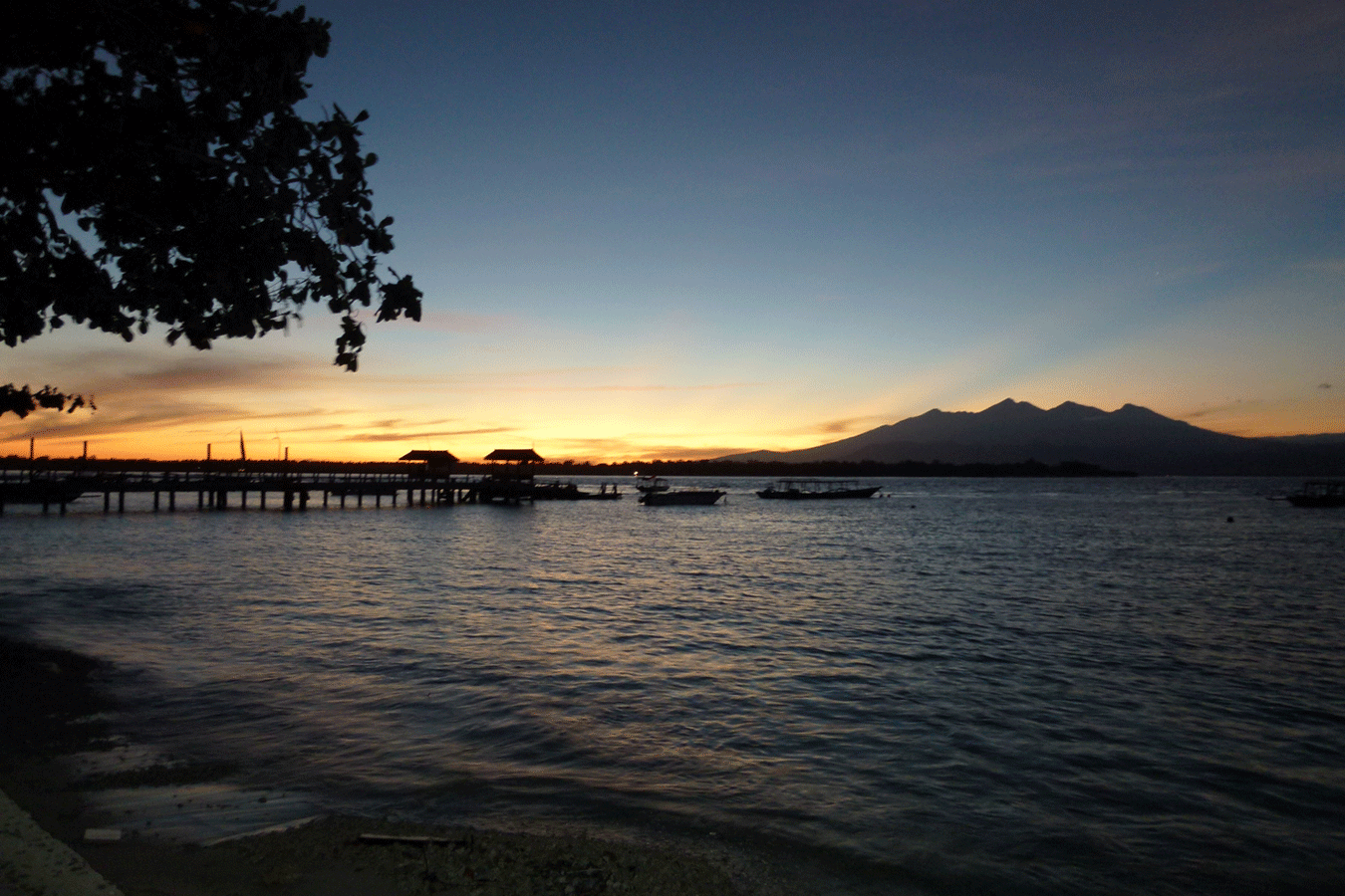 �g�������K��