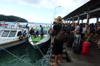 �g�������K��