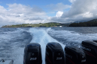 �g�������K��