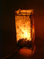 �I���W�i���E�����v