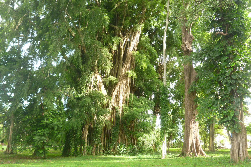 �r���M��