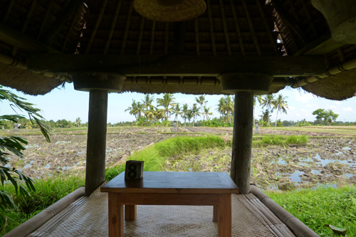 �N�_�C�E�f�E�T��