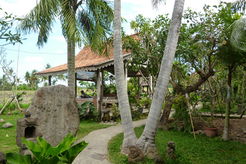 �N�_�C�E�f�E�T��