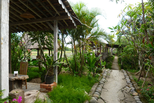 �N�_�C�E�f�E�T��