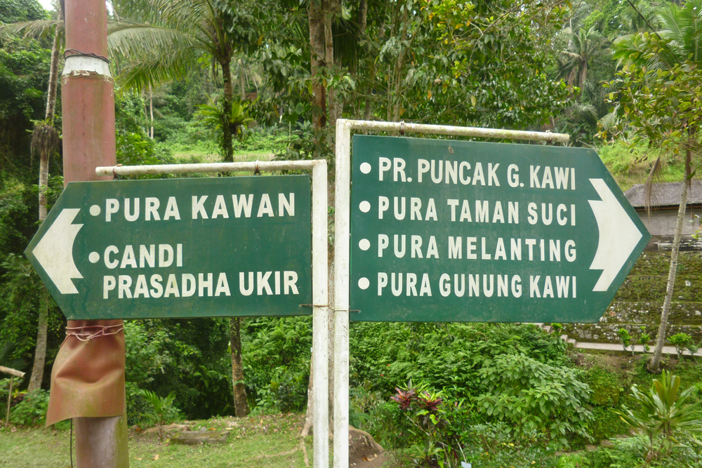 �O�k���E�J�E�B