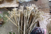 �|�g���E�o�r