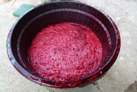 �|�g���E�o�r