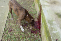 �|�g���E�o�r