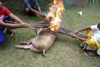 �|�g���E�o�r