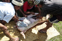 �|�g���E�o�r